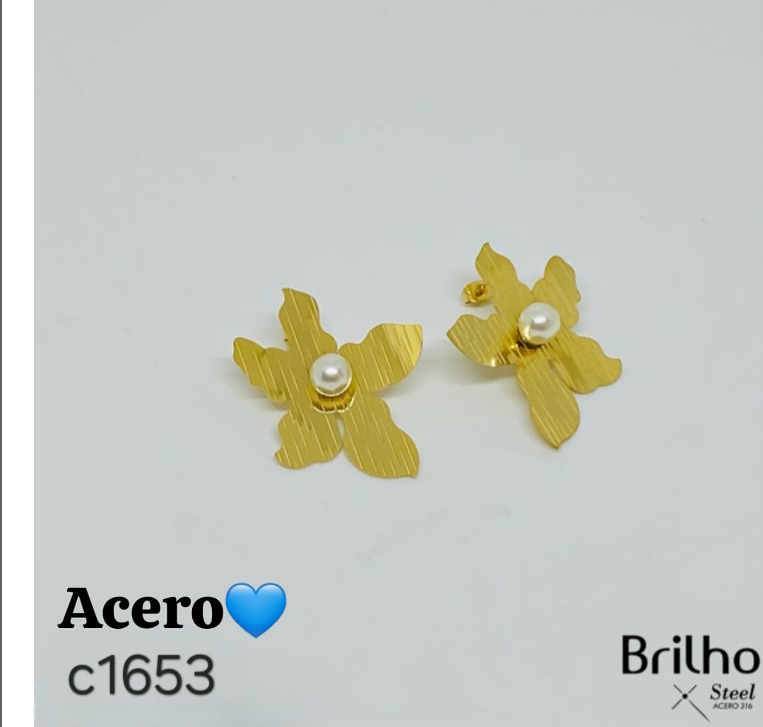 Aretes en acero c1653