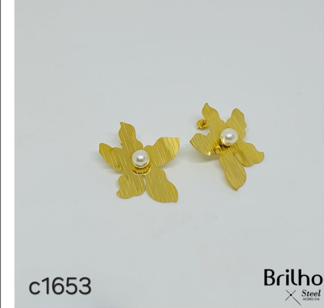 Aretes en acero c1653